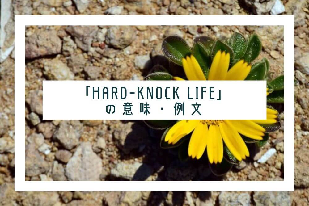 hard-knock life_タイトル