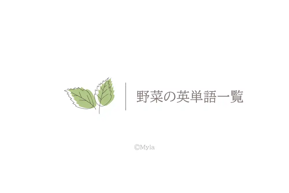 野菜の英単語一覧