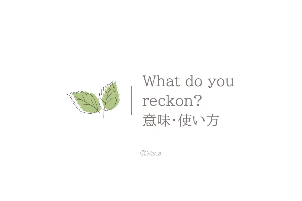 What do you reckon?（意味）